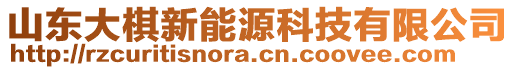 山東大棋新能源科技有限公司