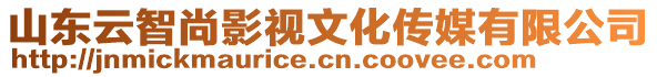 山東云智尚影視文化傳媒有限公司