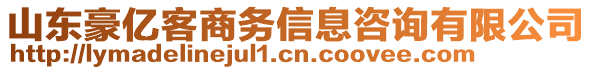 山東豪億客商務(wù)信息咨詢有限公司