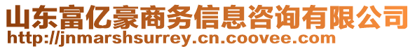 山東富億豪商務信息咨詢有限公司