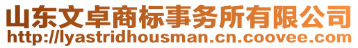 山東文卓商標(biāo)事務(wù)所有限公司