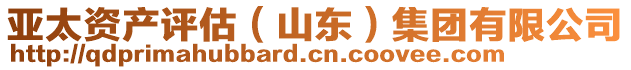 亞太資產(chǎn)評估（山東）集團有限公司