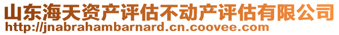 山東海天資產(chǎn)評(píng)估不動(dòng)產(chǎn)評(píng)估有限公司