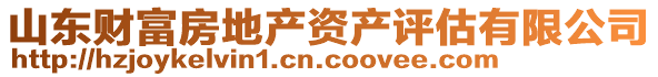 山東財(cái)富房地產(chǎn)資產(chǎn)評(píng)估有限公司