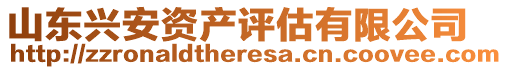 山東興安資產(chǎn)評(píng)估有限公司