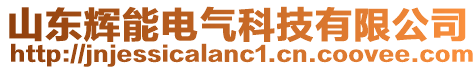 山東輝能電氣科技有限公司