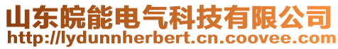 山東皖能電氣科技有限公司