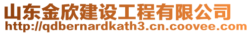 山東金欣建設工程有限公司