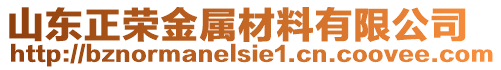 山東正榮金屬材料有限公司