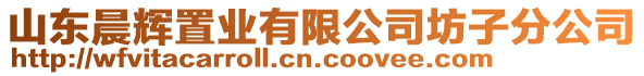 山東晨輝置業(yè)有限公司坊子分公司