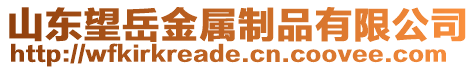 山東望岳金屬制品有限公司