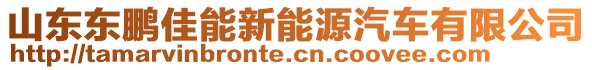 山東東鵬佳能新能源汽車有限公司