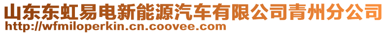 山東東虹易電新能源汽車有限公司青州分公司