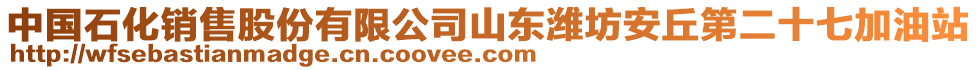 中國石化銷售股份有限公司山東濰坊安丘第二十七加油站