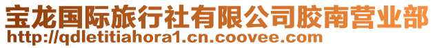 寶龍國際旅行社有限公司膠南營業部