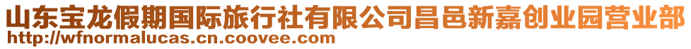 山東寶龍假期國際旅行社有限公司昌邑新嘉創業園營業部