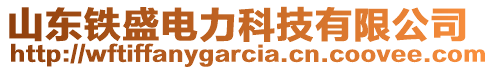 山東鐵盛電力科技有限公司