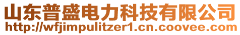 山東普盛電力科技有限公司