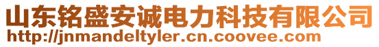 山東銘盛安誠電力科技有限公司