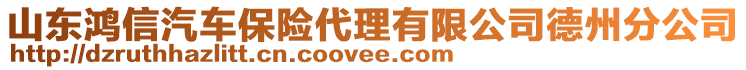 山東鴻信汽車保險代理有限公司德州分公司