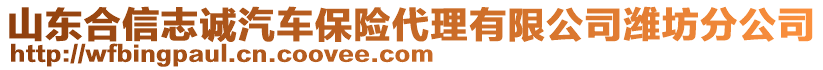 山東合信志誠汽車保險代理有限公司濰坊分公司