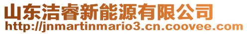 山東潔睿新能源有限公司