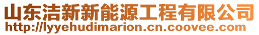 山東潔新新能源工程有限公司