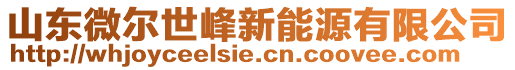 山東微爾世峰新能源有限公司