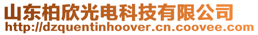 山東柏欣光電科技有限公司