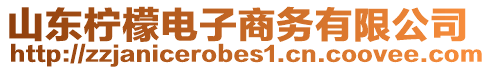 山東檸檬電子商務有限公司