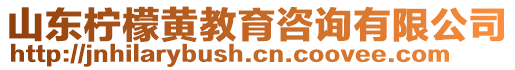 山東檸檬黃教育咨詢有限公司