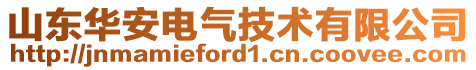 山東華安電氣技術(shù)有限公司