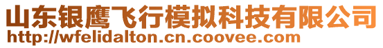 山東銀鷹飛行模擬科技有限公司