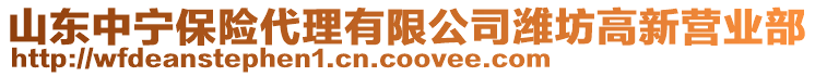 山東中寧保險(xiǎn)代理有限公司濰坊高新營業(yè)部