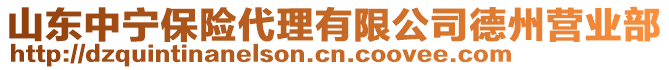 山東中寧保險代理有限公司德州營業(yè)部