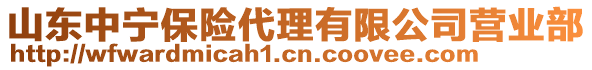 山東中寧保險代理有限公司營業(yè)部