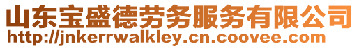山東寶盛德勞務服務有限公司