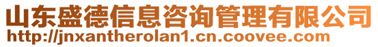 山東盛德信息咨詢管理有限公司