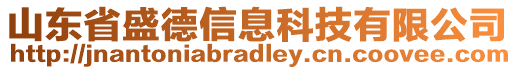 山東省盛德信息科技有限公司
