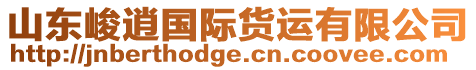 山東峻逍國際貨運有限公司