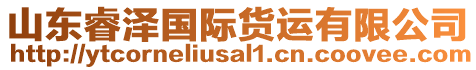 山東睿澤國(guó)際貨運(yùn)有限公司