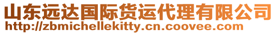 山東遠達國際貨運代理有限公司