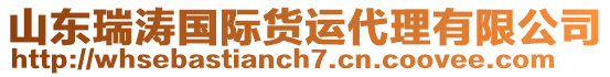 山東瑞濤國際貨運代理有限公司