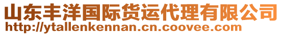 山東豐洋國際貨運代理有限公司