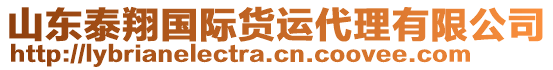 山東泰翔國際貨運代理有限公司