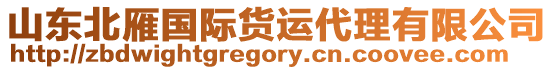 山東北雁國際貨運代理有限公司