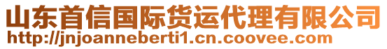 山東首信國際貨運代理有限公司