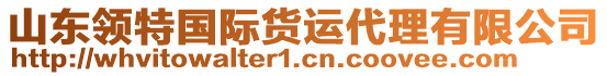 山東領特國際貨運代理有限公司