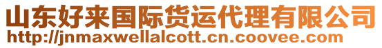 山東好來國際貨運代理有限公司