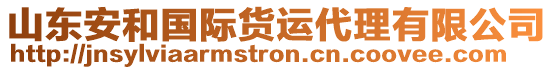 山東安和國際貨運(yùn)代理有限公司